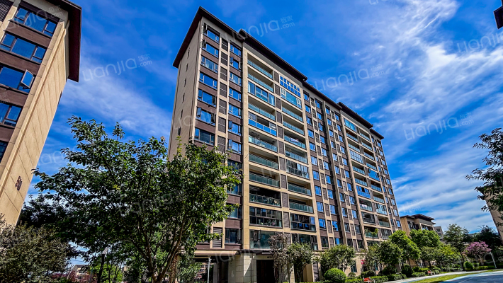 远洋山水赋三期外景图