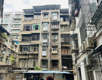 文化路234号附1号