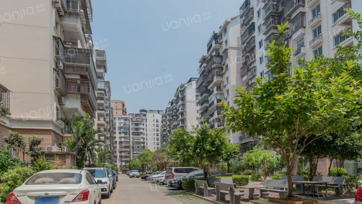 枋湖花园外景图