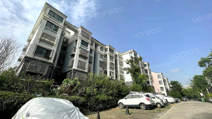 茂新新区一区外景图