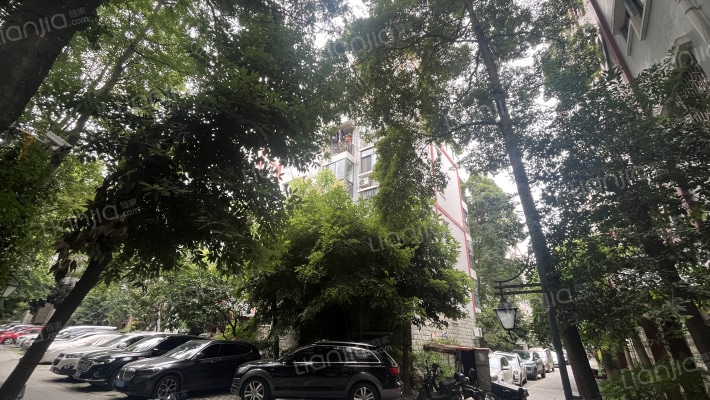 城南春天外景图