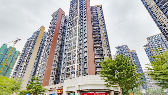 星河盛世外景图