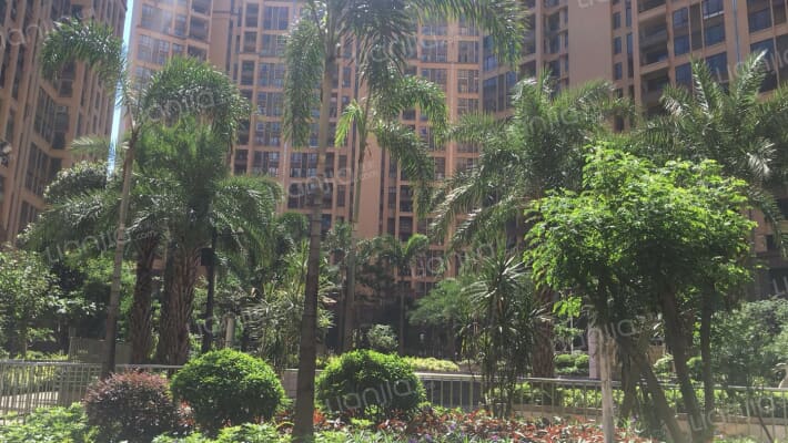 锦绣龙湾外景图