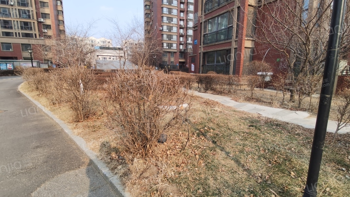 世代龙泽湾外景图