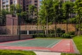 百悦天鹅湖24