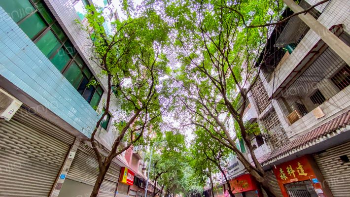 皮鞋城北一街1号外景图