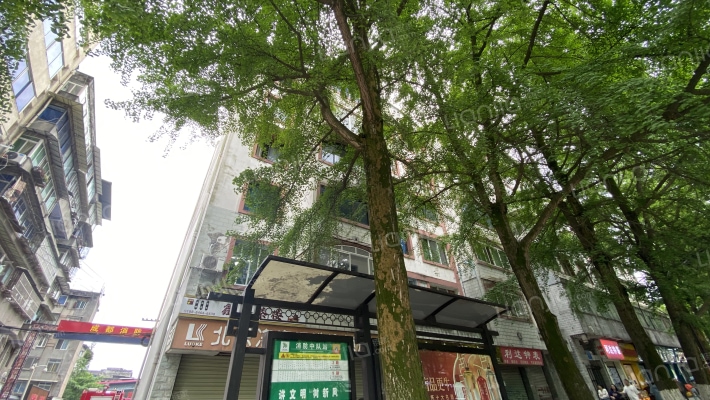 江安路70号外景图