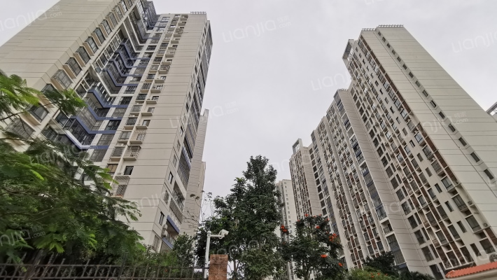 海大桥西外景图