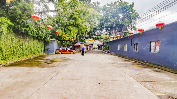 鹤洞新马路外景图