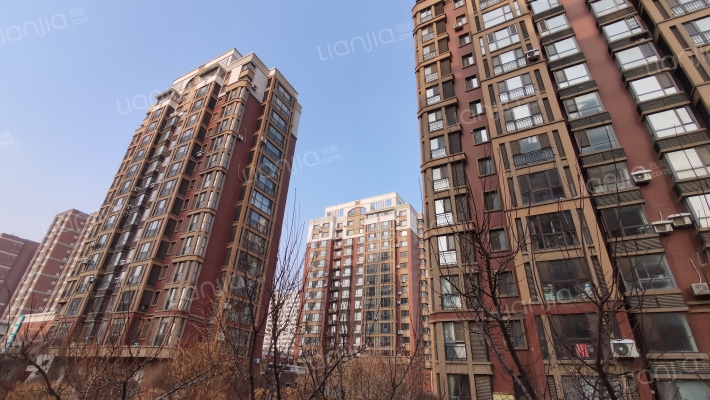 世代龙城外景图