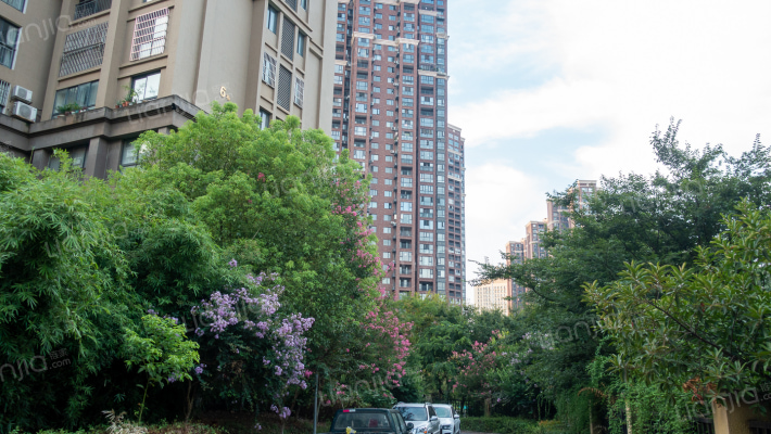 优山美地外景图