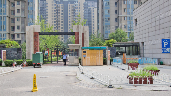 梧桐大道外景图