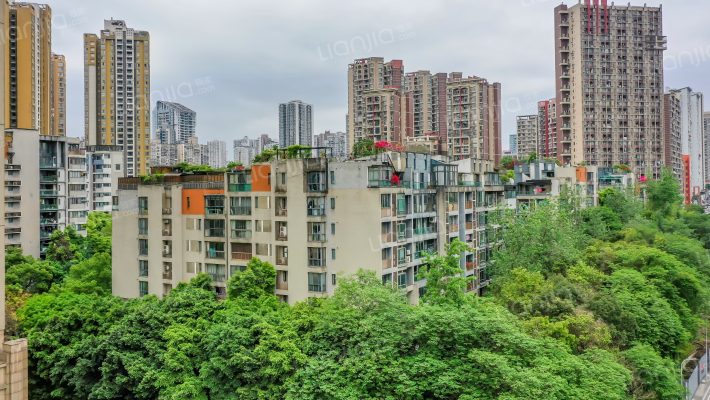 龙湖大城小院外景图