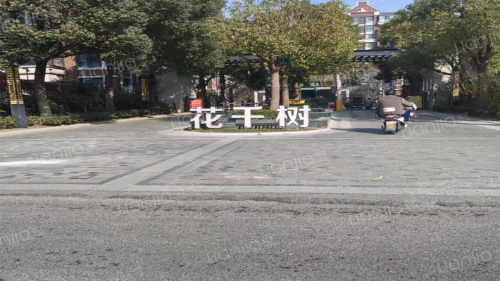 锦华花千树外景图