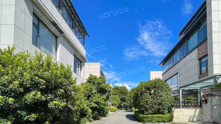 滨江荔园外景图