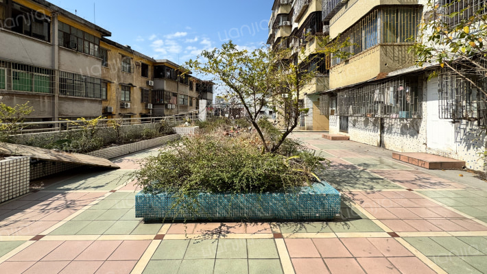 南江新村外景图