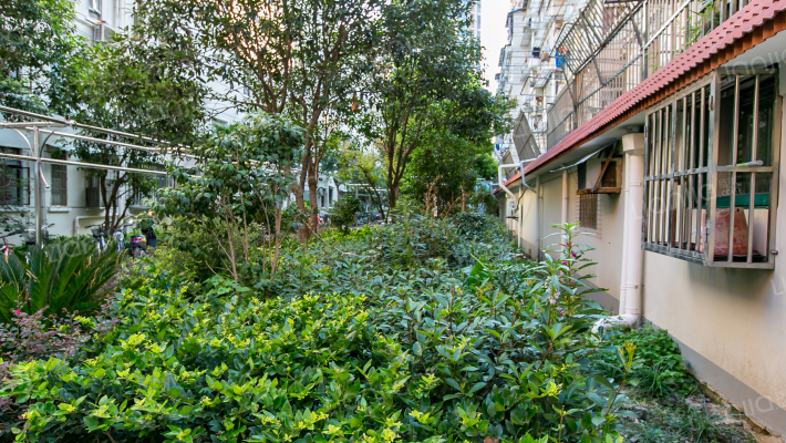 鲁中小区 外景图