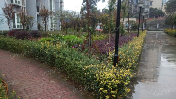 静江花园2区外景图