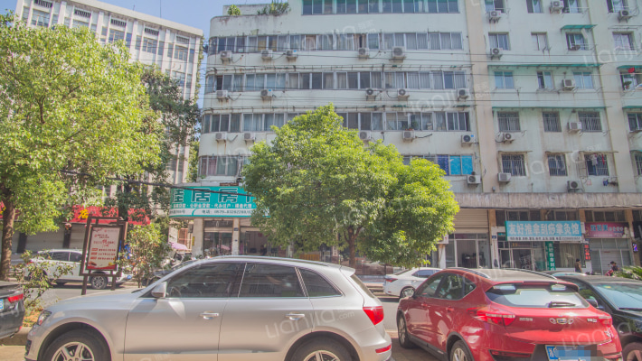 青年路219号外景图