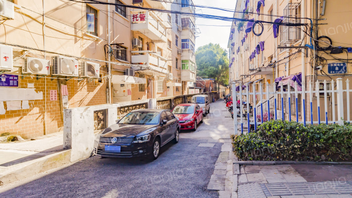 东新北路8号外景图