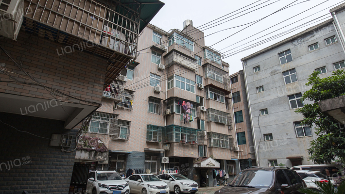 武湖正街商务楼外景图