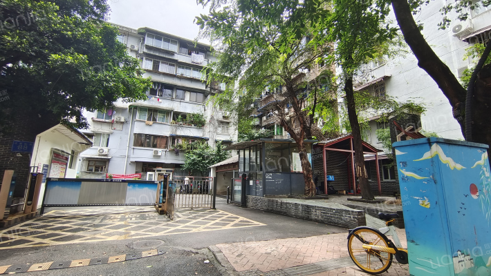 冻青树88号外景图