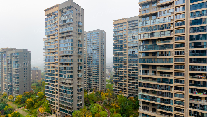 金地湖城大境天字一号外景图