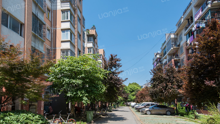 阳光上南怡园外景图