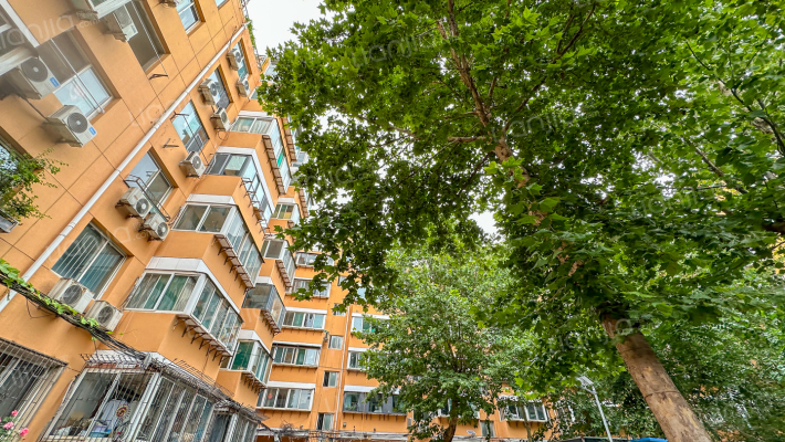 光明路丽都院外景图