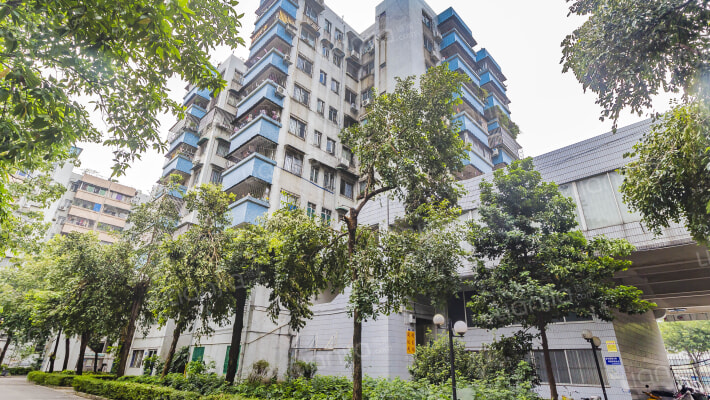 金德西苑外景图