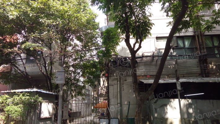 桃源社区外景图