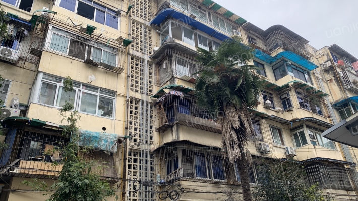 蓓蕾西巷1号外景图