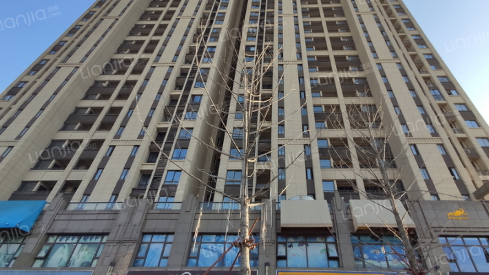 明发珠江国际外景图