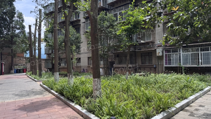 云南省林业运输总公司宿舍外景图