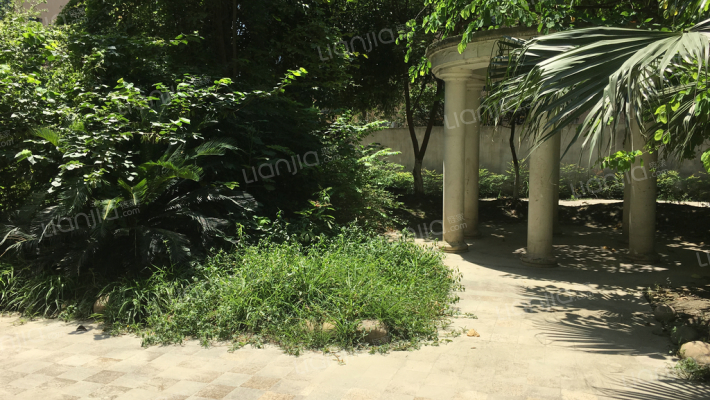 成都早晨外景图