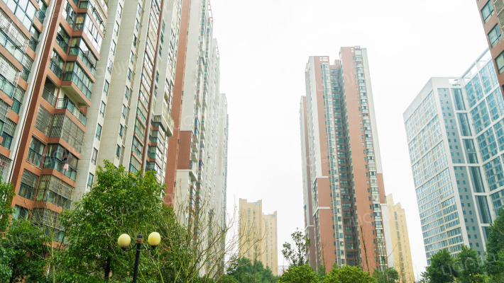 盛地尊域外景图