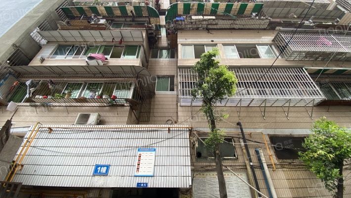 三强西路22号外景图