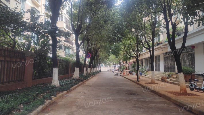 北辰小区杜鹃苑外景图