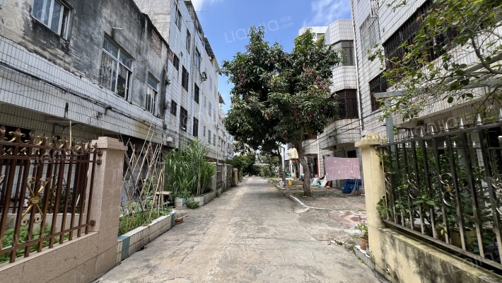 中广塔一巷外景图