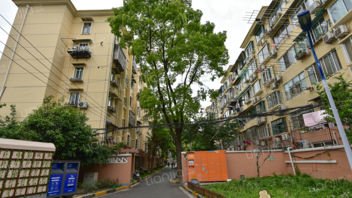 长桥三村外景图