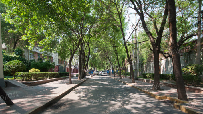 纪庄子道外景图