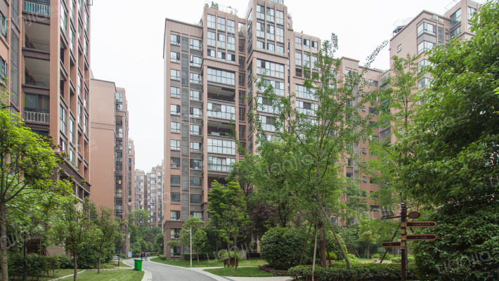 景茂名都外景图