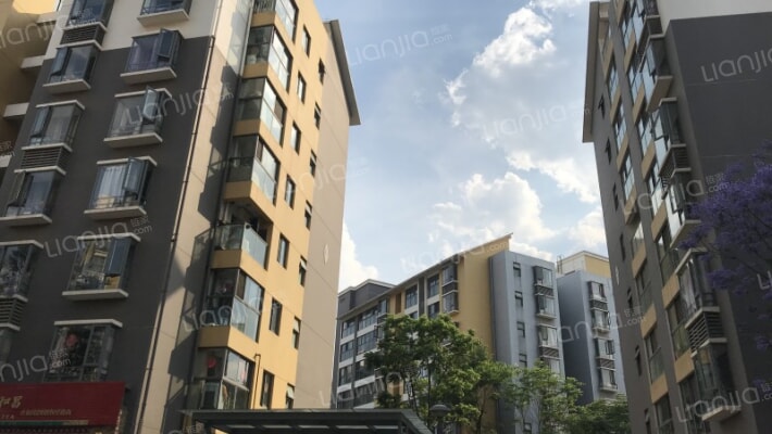 樱花语春天里外景图