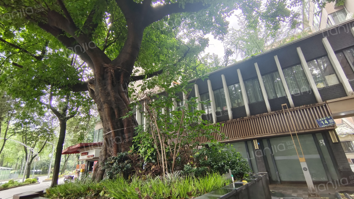 人民中路一段14号外景图