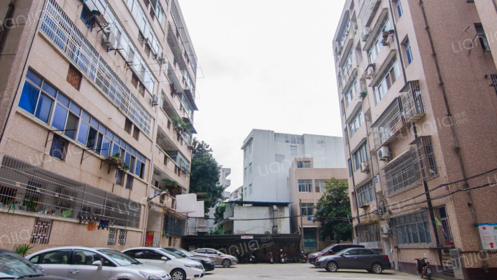 新福路31号外景图