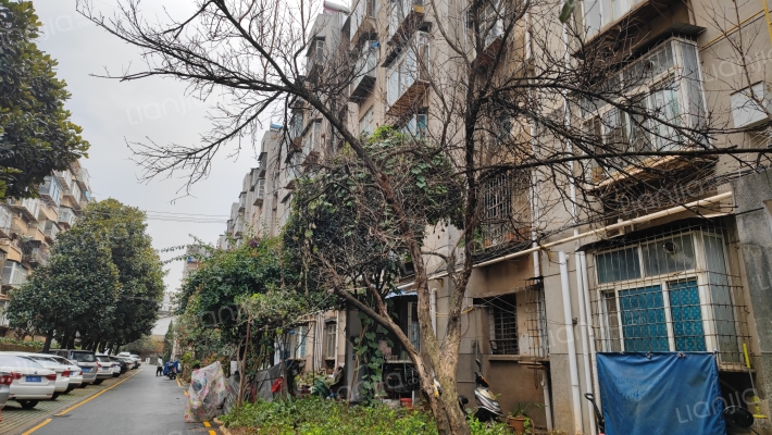 林业机械厂宿舍外景图