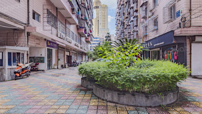 星河大楼外景图