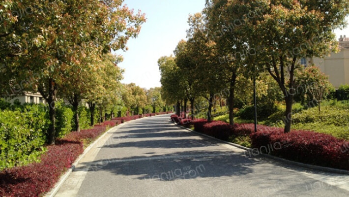 清水依诺瓦小镇外景图