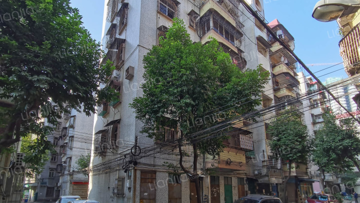 月桂二路二十五号外景图