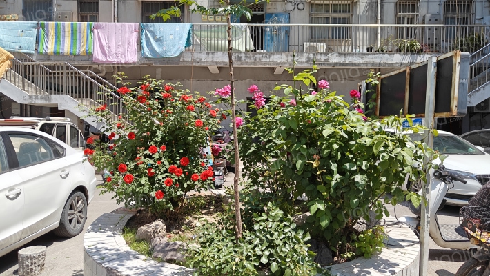 解台锦程小区外景图